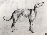 Albrecht Durer A Grayhound oil painting